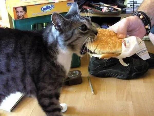mega burgery31